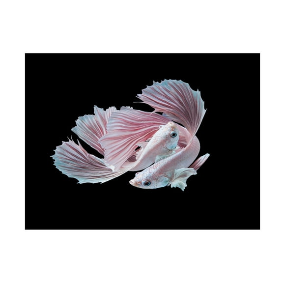 Canvas Wall Art - Andi Halil 'The Love' Wall Art for Living Room, Bedroom, or Office D?cor by Trademark Fine Art - 19 x 14 Inches