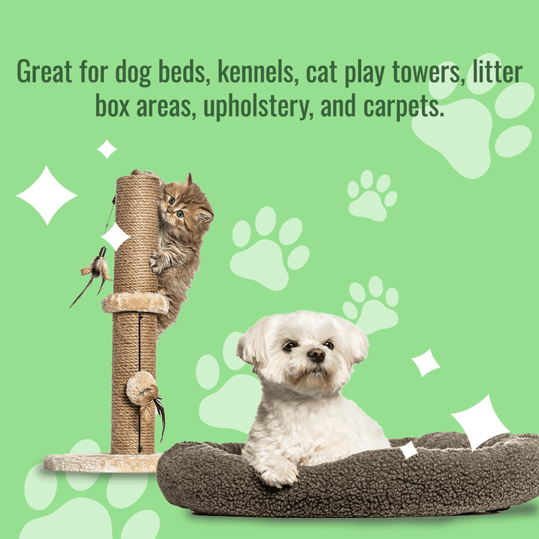 Citrus Magic Pet Odor Eliminator, 22 oz 3-Pack photo 6
