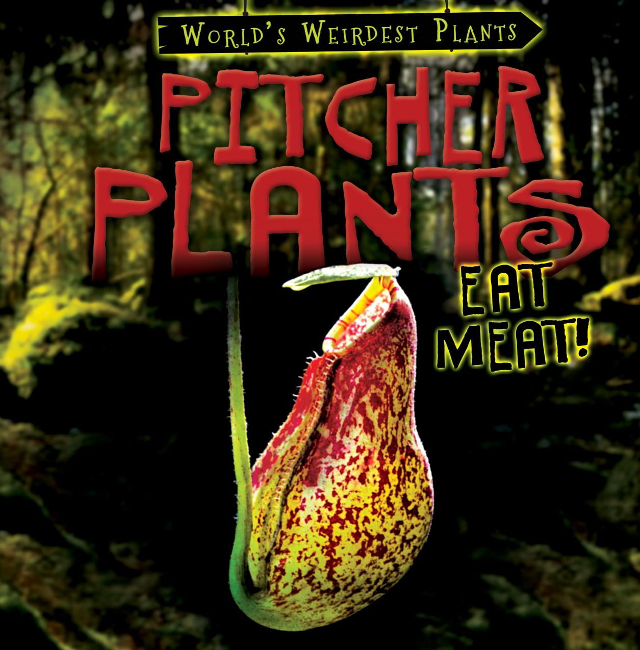 World's Weirdest Plants Pitcher Plants Eat Meat! (Paperback)