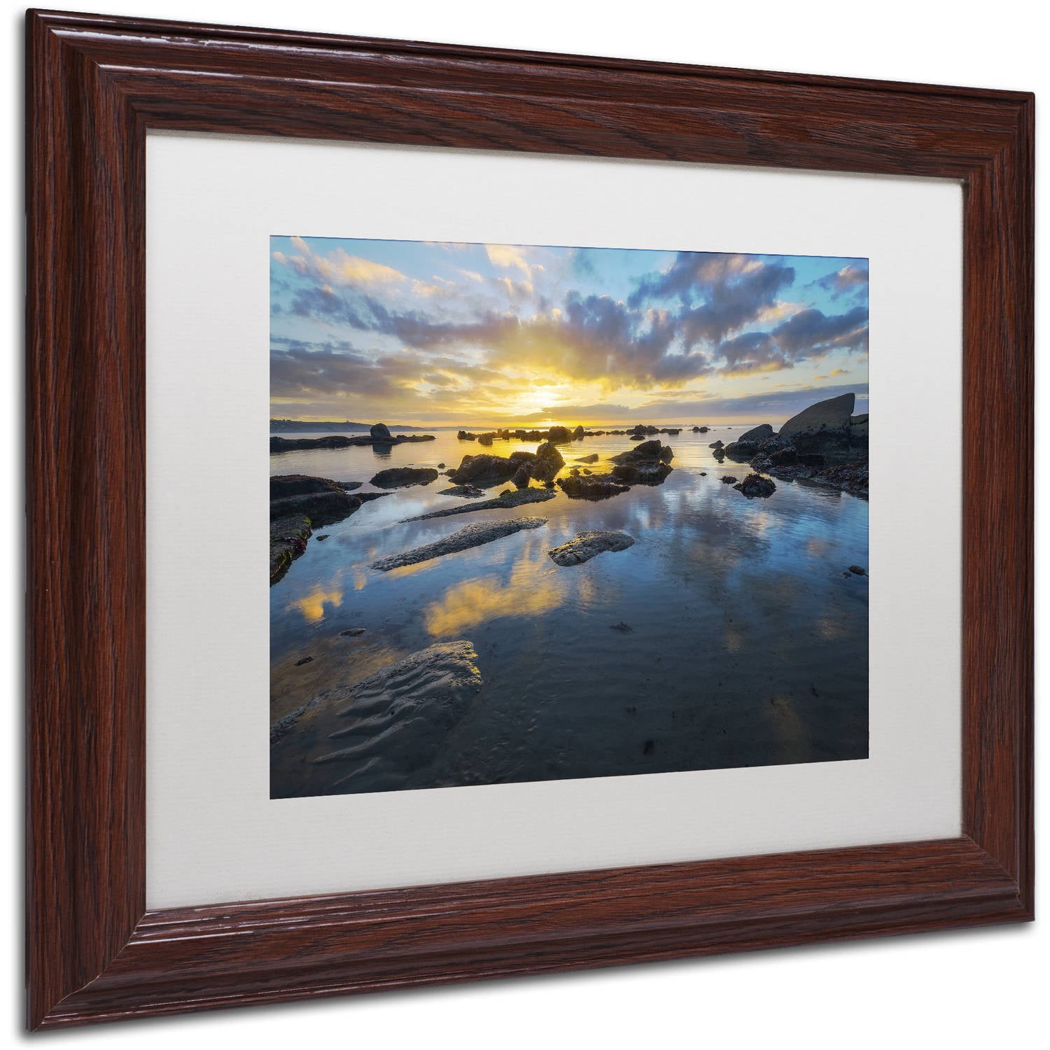 Trademark Fine Art "Nature's Gift" Canvas Art by Mathieu Rivrin, White Matte, Wood Frame