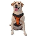 thumbnail image 1 of Balery Fiery Orange Flames Energy Arnés para Perros Grandes Antitirones, Arnés con Correa para Gato, Arnés Tipo Chaleco para Perros Pequeños-Large, 1 of 6
