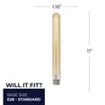 thumbnail image 2 of Bulbrite 862773 11 in. 5W T9 Shape 2100K Dimmable LED Bulb - Pack of 4, 2 of 7