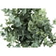 thumbnail image 4 of Planta artificial - 28 cm de alto - Interior - Mesa - Maceta - Hojas verdes, 4 of 6