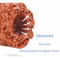 thumbnail image 2 of Anillos de biofiltración de cerámica para todo tipo de acuarios y estanques que estabilizan el pH del agua (blanco 500G + rojo 500G) JFHHH pequeña, 2 of 5