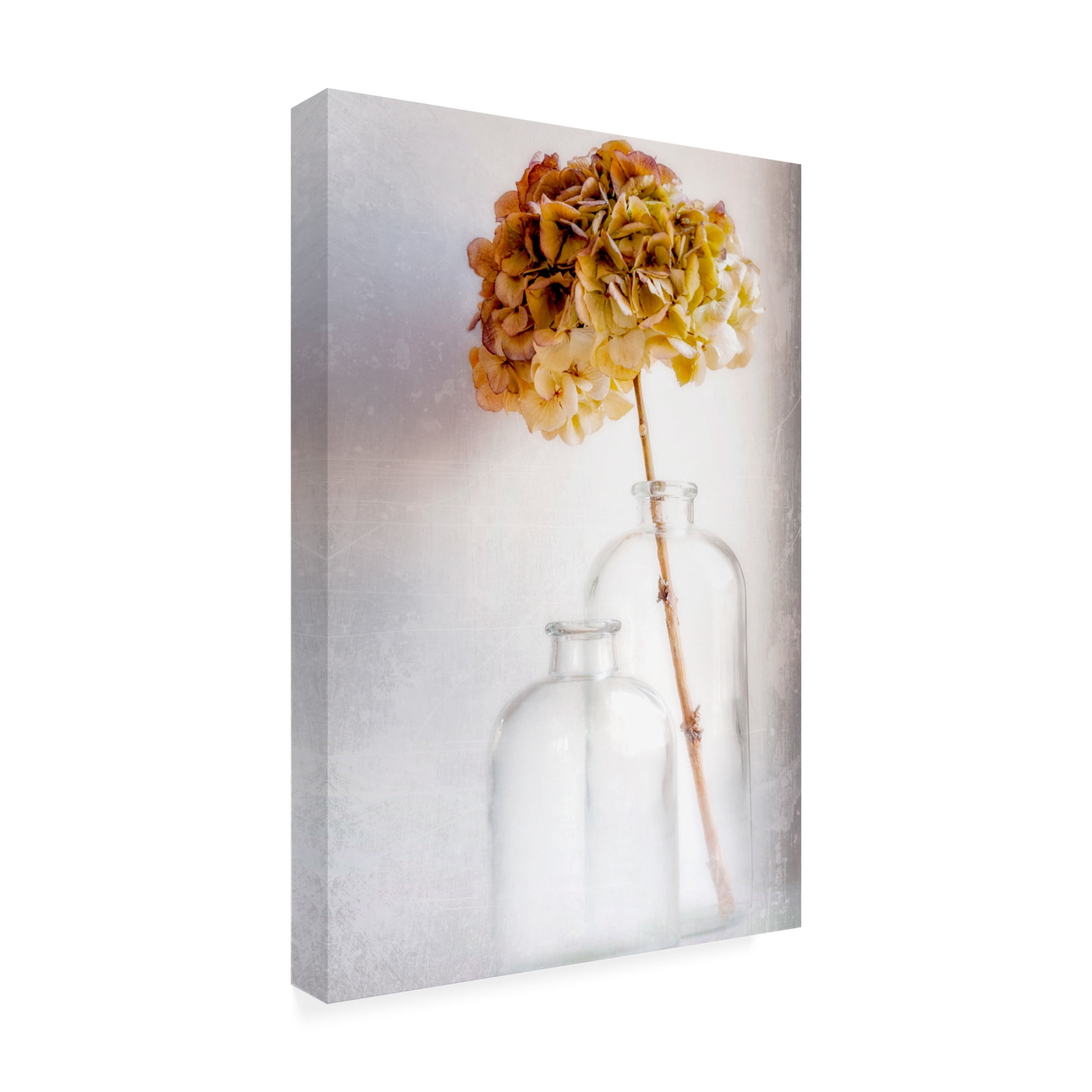 Canvas Wall Art - Blaise Montfort 'Hydrangea' Wall Art for Living Room, Bedroom, or Office Décor by Trademark Fine Art - 12 x 19 Inches