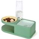 thumbnail image 1 of Cuenco para gatos, cuenco para gatos de doble elevación con botella de agua automática, cuenco para mascotas de plástico para gatos, cachorros y perros (verde). Afortunado Sencillez, 1 of 5