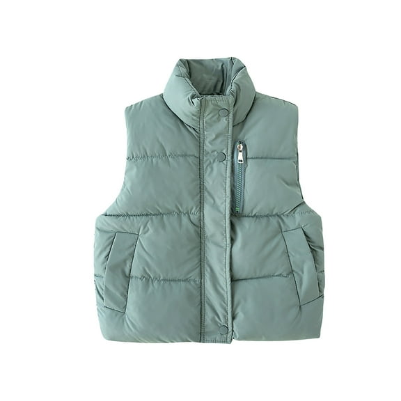 Toddler Girls Boys Puffer Vest Toddler Winter Vest Stand Collar Lightweight Zip Up Cute Jackets with Sleeveless Winter Down Vest 2-3 Years