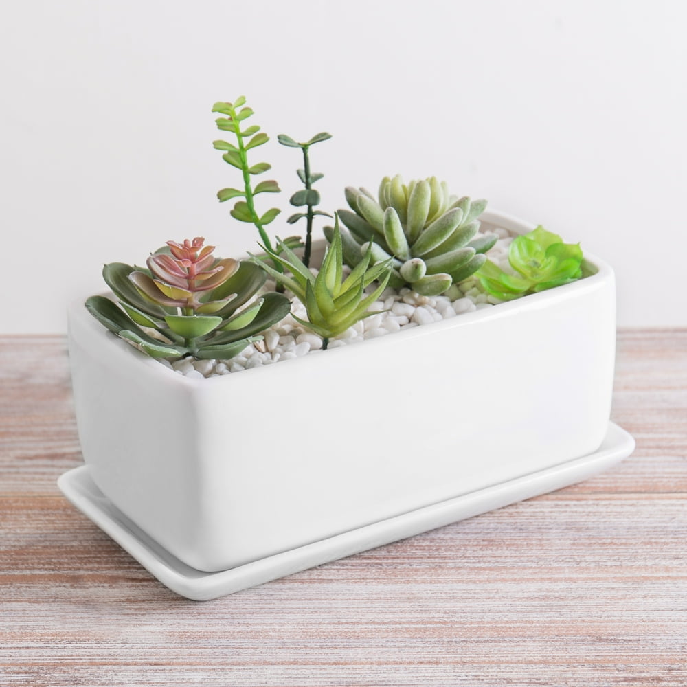 white ceramic plant tray