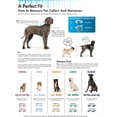 thumbnail image 6 of Coastal Pet Walk'n Train Head Halter Size 1 (13-17 Neck & 4-6 Snout Circumference), 6 of 7