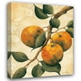 thumbnail image 1 of Doris Allison 36x44 Gallery Wrapped Canvas Wall Art Titled - Italian Harvest - Oranges, 1 of 4
