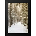 thumbnail image 2 of Aledanda 13x18 Black Modern Framed Museum Art Print Titled - Through the Woods, 2 of 5