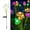 B, variant on Solar Jellyfish Garden Light, IP65 Waterproof Color Changing Outdoor Stake Light, 65cm Tall Landscape for Pathway Patio Lawn, Auto On/Off
