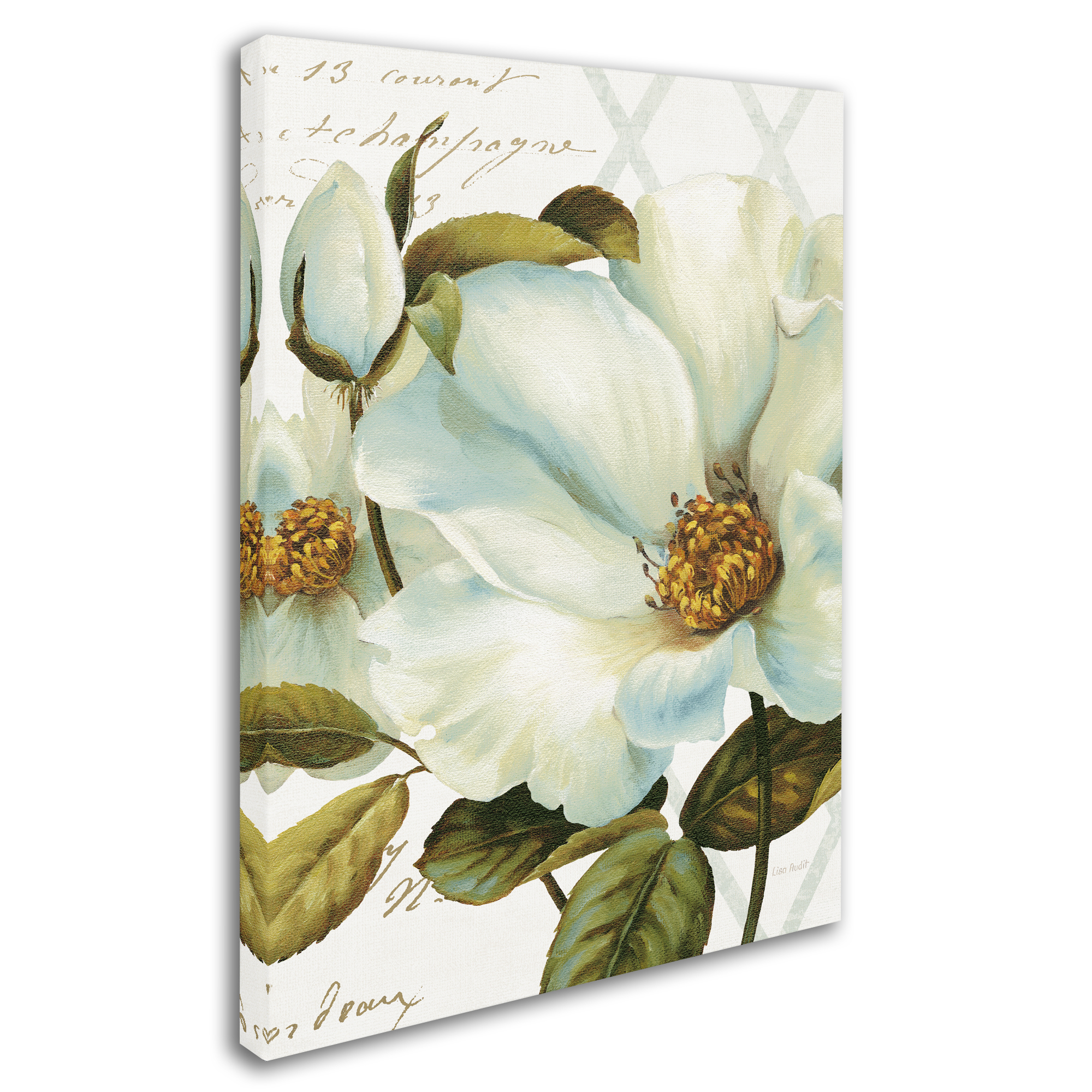 Trademark Fine Art 'White Floral Bliss II Crop' Canvas Art by Lisa Audit