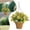 D, variant on Artificial Hanging Flowers with Basket, Fake Silk Hanging Flowers in Basket Artificial Hanging Plants Fake Hanging Flowers for Indoor Outdoor Spring Summer Garden Porch Patio Home Decor