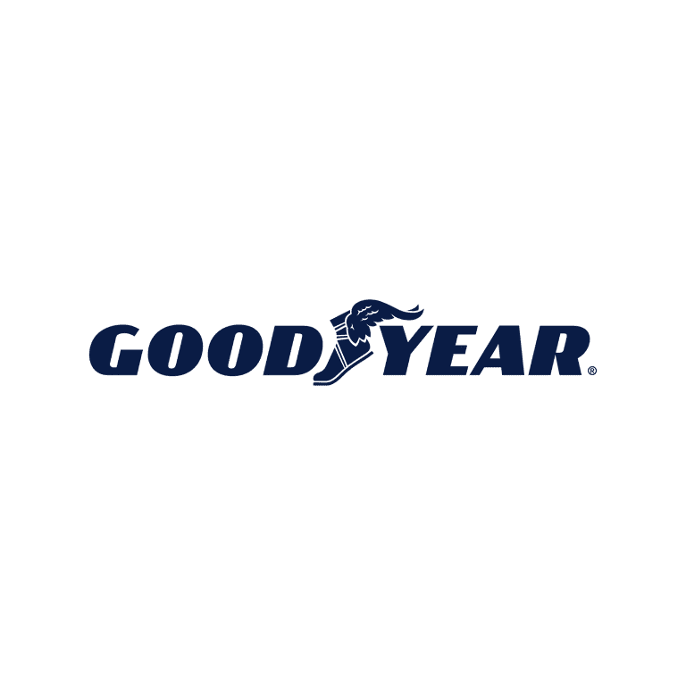 Goodyear Assurance Outlast 205/55R16 91H All-Season Tire photo 6