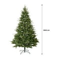 thumbnail image 3 of Grand sapin lumineux Fraîche, 3 of 6