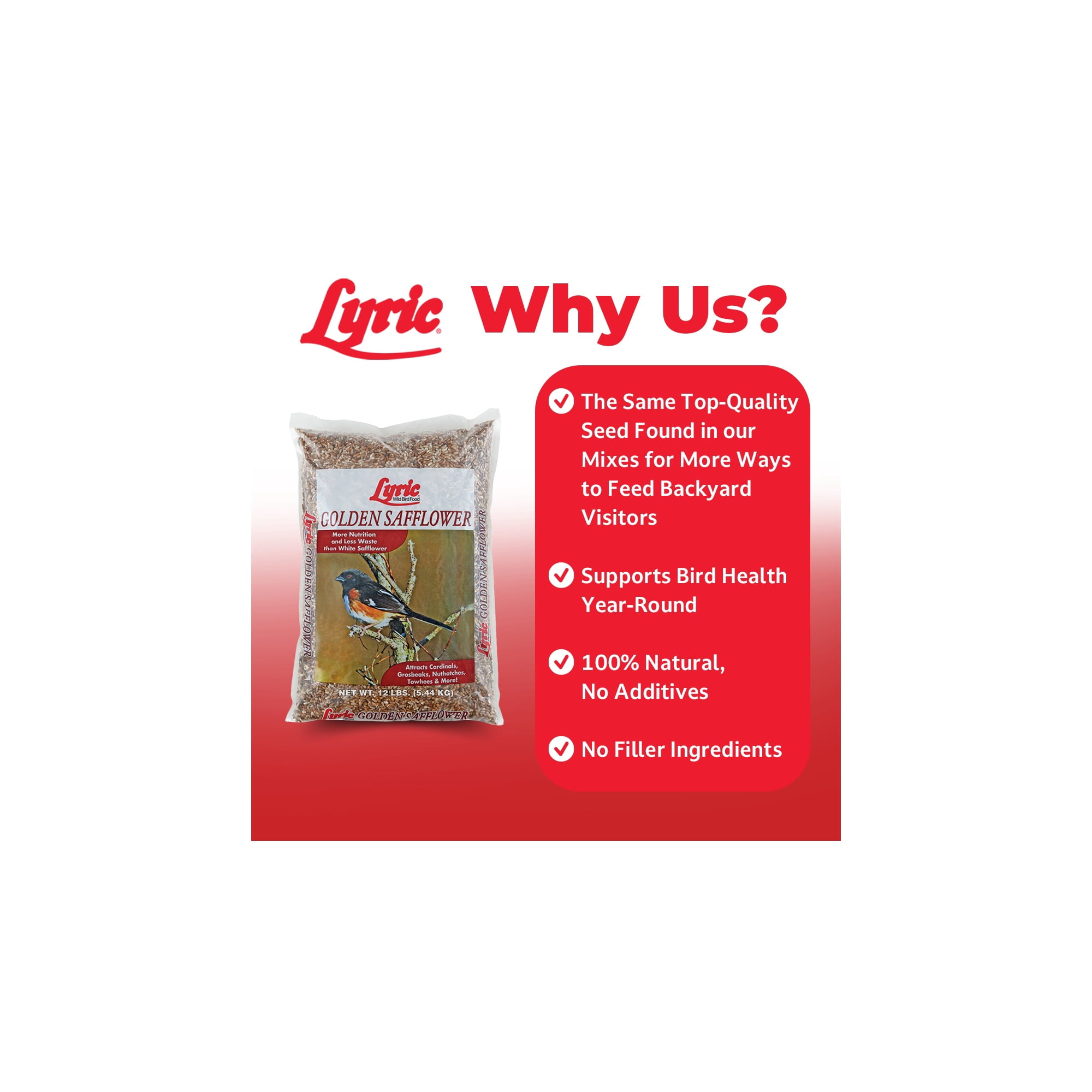 Lyric Golden Safflower Wild Bird Seed - Attracts Woodpeckers Cardinals - 12 lb. Bag
