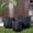 Black, variant on Gryphon Ceramic Geometric Planter Pot Set of 3 Modern Indoor Outdoor Planters, White