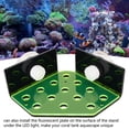 thumbnail image 4 of Coral Frag Rack, Fish Tank Coral Frag Holder 13 Holes Easy Installation with Suction Cups for Fish Tank, 4 of 7
