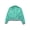 Blue Green, variant on Kids Girls Metallic Bomber Jacket Coat Zip Up Long Sleeve Jazz Dance Crop Top Windbreaker Silver 10