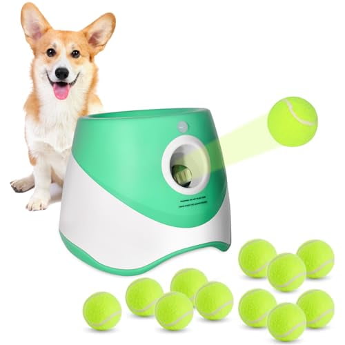 Hyper Pet GoDogGo Automatic Dog Ball Launcher Tennis Ball Thrower for Dogs 20 60 Pounds Walmart