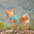 thumbnail image 2 of GOOHOCHY 1 juego de arnés ajustable para mascotas, arnés y correa para perros, correa de entrenamiento para exteriores (XS), 2 of 8