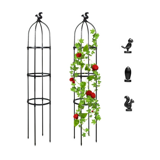 Garden Obelisk Trellis For Climbing Plants Outdoor Rose Bush Round