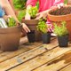 thumbnail image 4 of FUTUREORYY 1Jgo Herramientas De Para Jardín Con Piezas De Inoxidable Y Alta Resistencia, 4 of 8