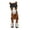 Brown, variant on AOOOWER Little Horse Sculpture With Movable Legs Tail 3D Printing Art Decors Ornament