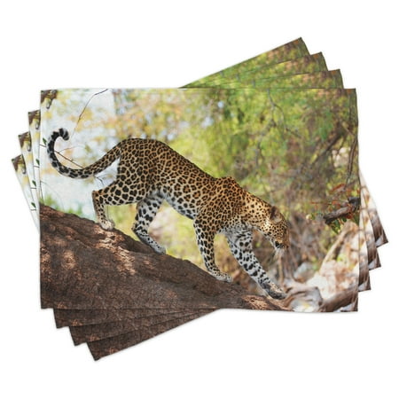 

Zoo Placemats Set of 4 Leopard Panthera Pantus on Tree Nature Reserve Botswana Carnivore Animal Washable Fabric Place Mats for Dining Room Kitchen Table Decor Green Pale Brown White by Ambesonne