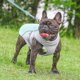 thumbnail image 2 of Dog Cooling Vest Adjustable Summer Clothing Dog Cooler Jacket For Outdoor Hiking, Walking And Camping, 2 of 5
