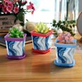 thumbnail image 6 of HemaKayy Decorative Planter Pot Set - Perfect for Small Plants - Colorful Design With Drainage Hole - Ideal for Home and Garden Decor - Set of 8 - Unique Marble Texture, 6 of 6