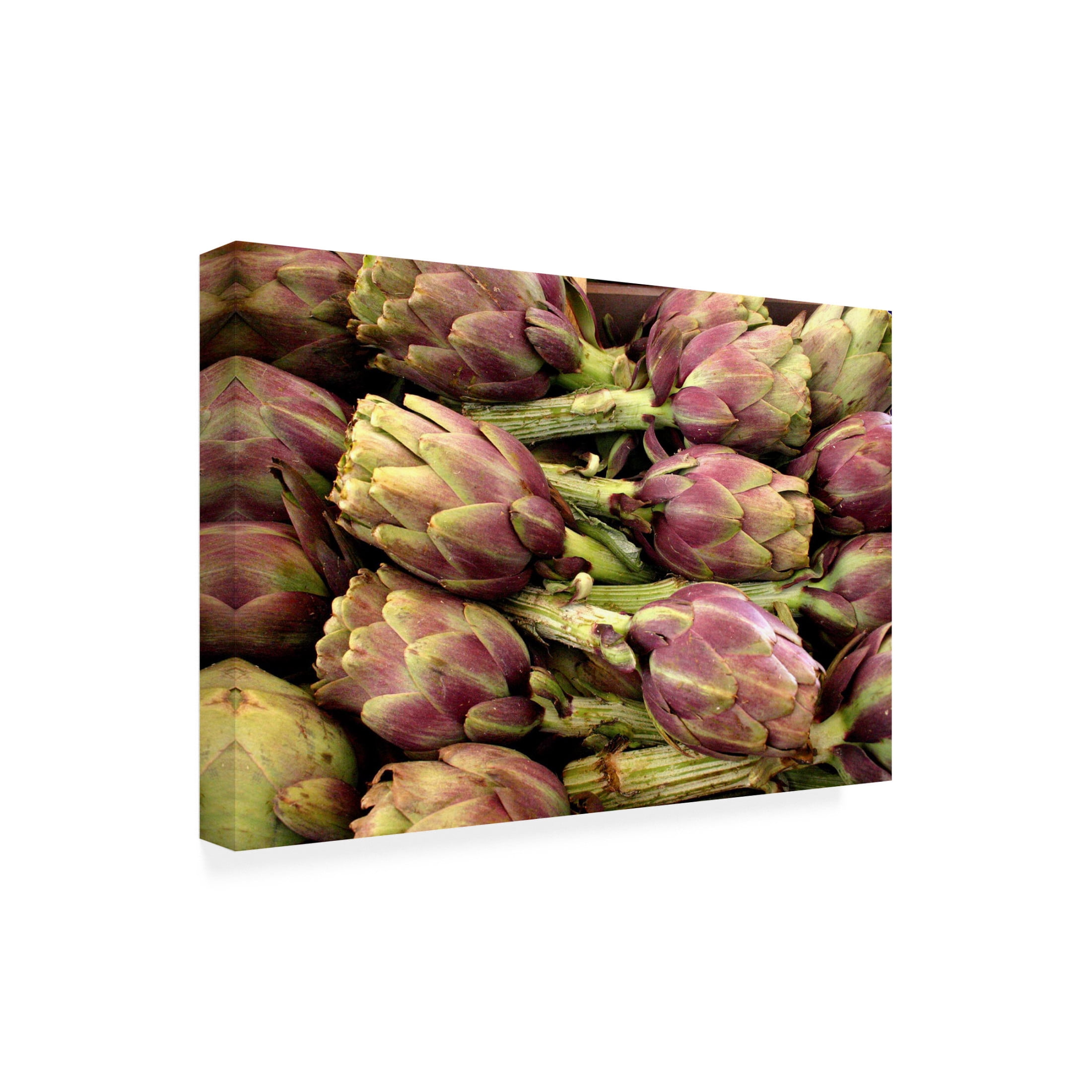 Canvas Wall Art - DANE 'Keukenhof Gardens 11' Wall Art for Living Room, Bedroom, or Office Décor by Trademark Fine Art - 19 x 12 Inches