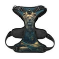 thumbnail image 5 of Lsque Starry Sky Meditating Lion Dog Harness, No-Pull Pet Harness with 2 Leash Clips, Adjustable Soft Padded Dog Vest with Easy Control Handle for Large Dogs-, 5 of 9