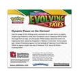 thumbnail image 2 of REA! 360 st Presentförpackning Evolving Skies Booster Pack för Barn Tecknad Söt Lekkort Papper null ingen, 2 of 3