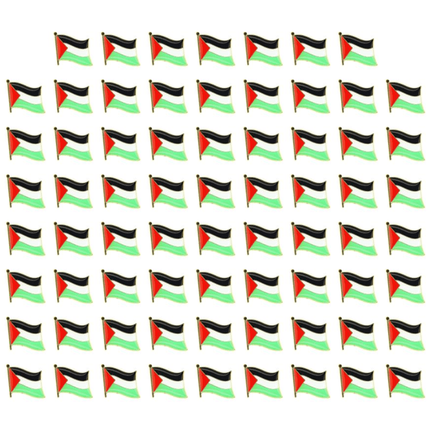 Pin Solapa Palestina Pequeño Metal Con Emblema País para Patriotas