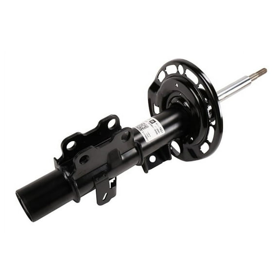 Front Passenger Side Suspension Strut