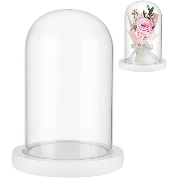 1set Glass Dome Cover Decorative Display Case Cloche Bell Jar Terrarium with Wood Base for DIY Preserved Flower Gift White Finished Product: 113x163mm