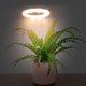 thumbnail image 3 of FELTECHELECTR Lámpara LED de espectro completo para cultivo de plantas de interior, luz de cultivo pequeña, 3 of 6