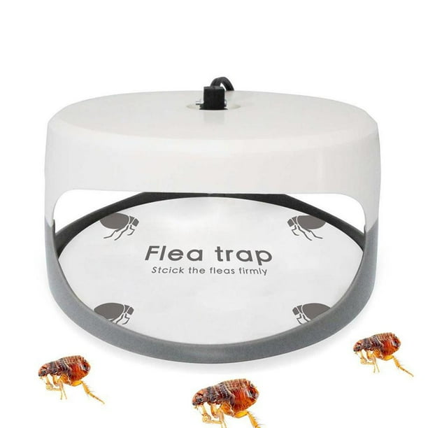 5 uds trampa para pulgas pegatinas trampas adhesivas para moscas trampas para pulgas en forma de calabaza para el dormitorio del hogar