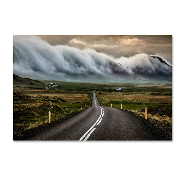 Sus Bogaerts 'Road' Canvas Art