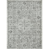 Loomaknoti Rhane Aleckan 5' x 7' Gray Oriental Indoor Area Rug