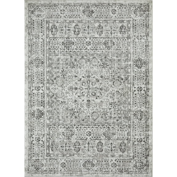 Loomaknoti Rhane Aleckan 5' x 7' Gray Oriental Indoor Area Rug