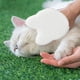 thumbnail image 5 of Guantes 2 En 1 Para El Aseo De Mascotas Adorable Guante De Masaje Para El Aseo De Mascotas Con Forma De Cabeza De Gato Aseo Para Perros Gatos Conejos En Pelo Húmedo O Seco Guantes Para Pelo De, 5 of 5