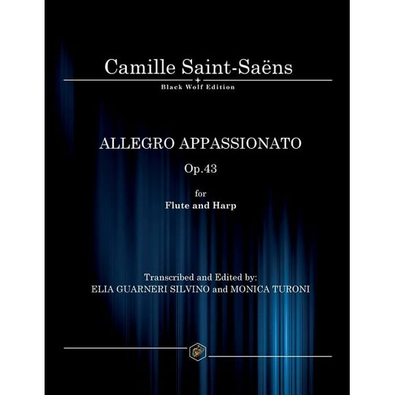 ALLEGRO APPASSIONATO Op.43 (Paperback)
