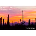 thumbnail image 4 of Saguaro National Park, Arizona, Orange and Pink Sunset (1000 Piece Puzzle, Size 19x27, Challenging Jigsaw Puzzle for Adults and Family, Made in USA), 4 of 4