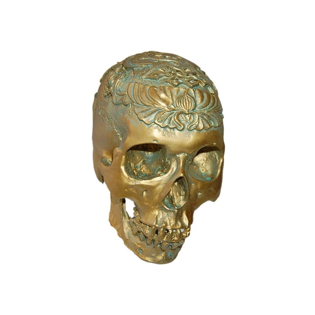 Grandeur Nature 1:1 Crâne Humain Résine Modèle Anatomique Squelette Réaliste Bronze Antique 2