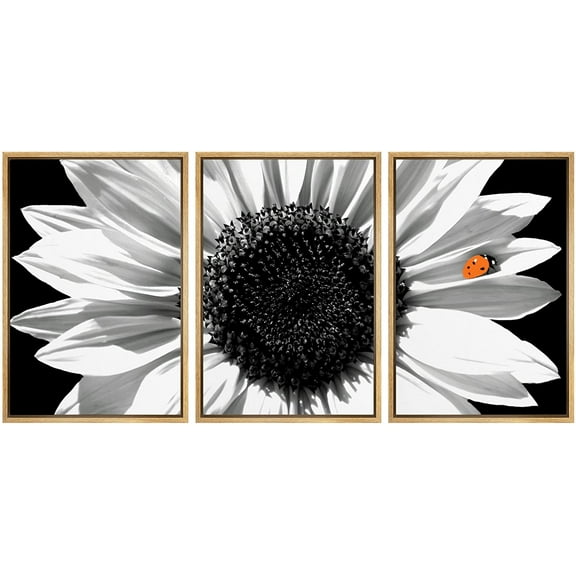 wall26 Framed Canvas Print Wall Art Set Black & White Sunflower with Red Ladybug Floral Botanical Modern Art Rustic Colorful Ultra for Living Room, Bedroom, Office - 16"x24"x3 Natural