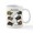 White, variant on CafePress - Box Turtles Of North America Mug - 11 oz Ceramic Mug - Novelty Coffee Tea Cup
