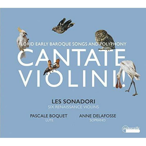 Various Artists - Cantate Violini - Music & Performance - CD